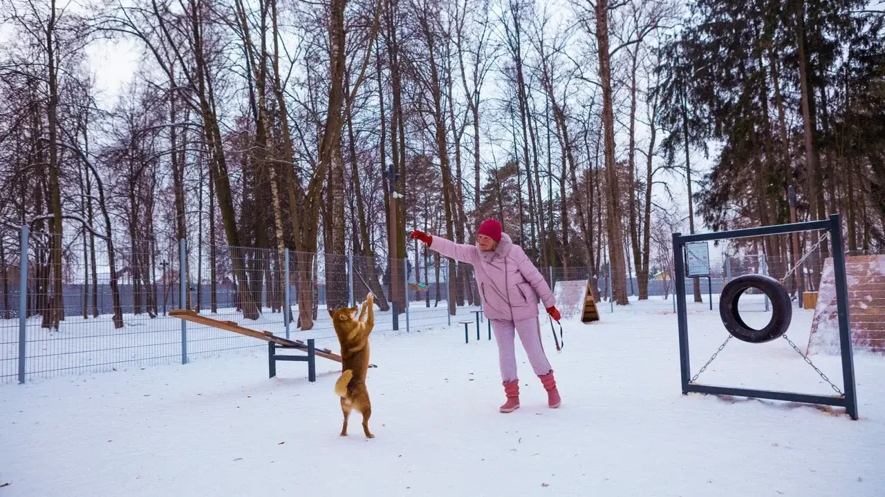 Министерство благоустройства Московской области