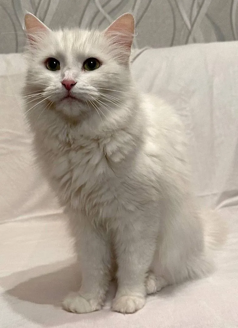 Фото: Подслушано на Глебовке (новая) / ВКонтакте