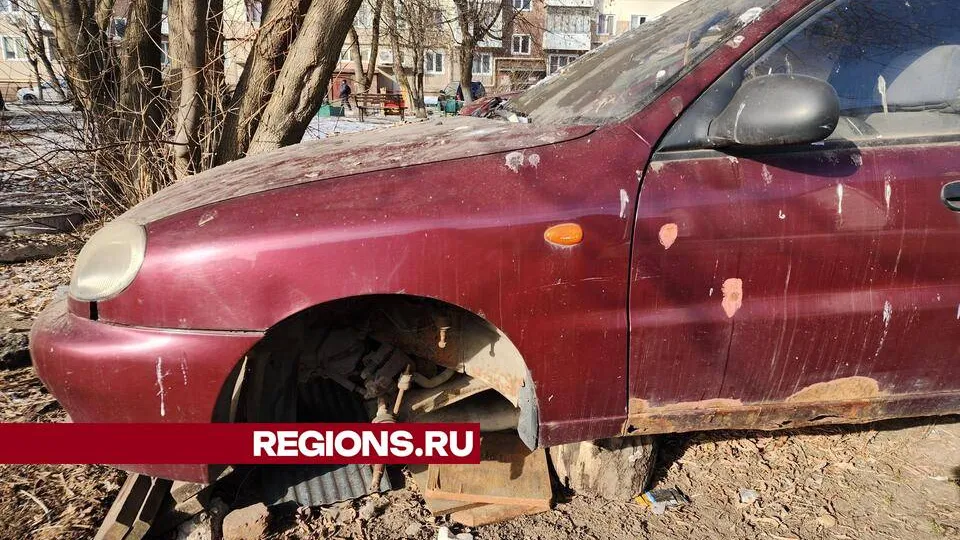 Фото: Ольга Сычева