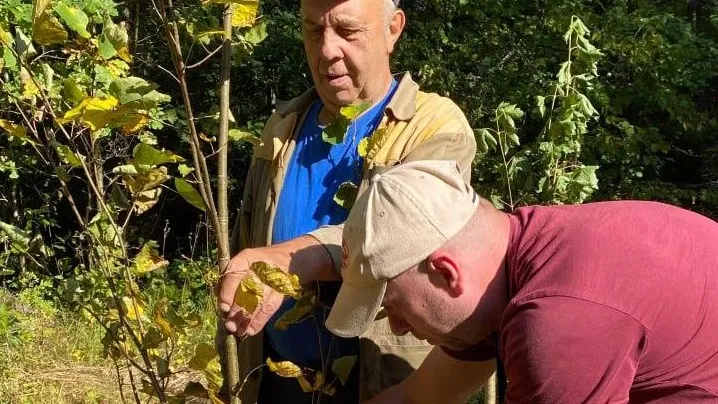 Фото: Комитет лесного хозяйства Московской области