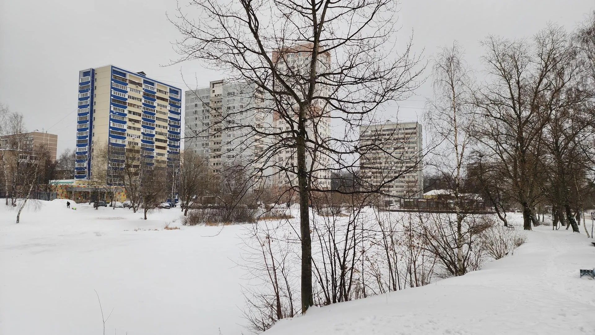 Сморкалов Никита