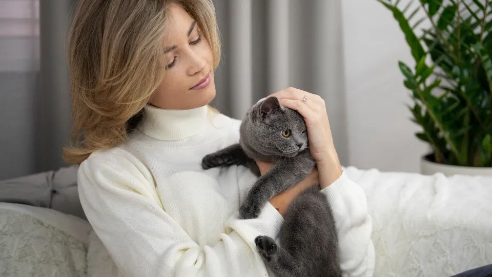 Фото: freepik.com