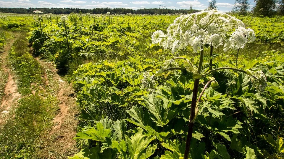 Фото: Медиасток.рф