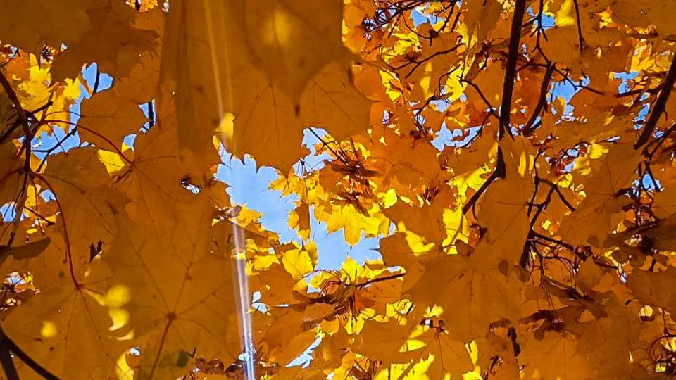 Фото: REGIONS/Эльвира Сафина