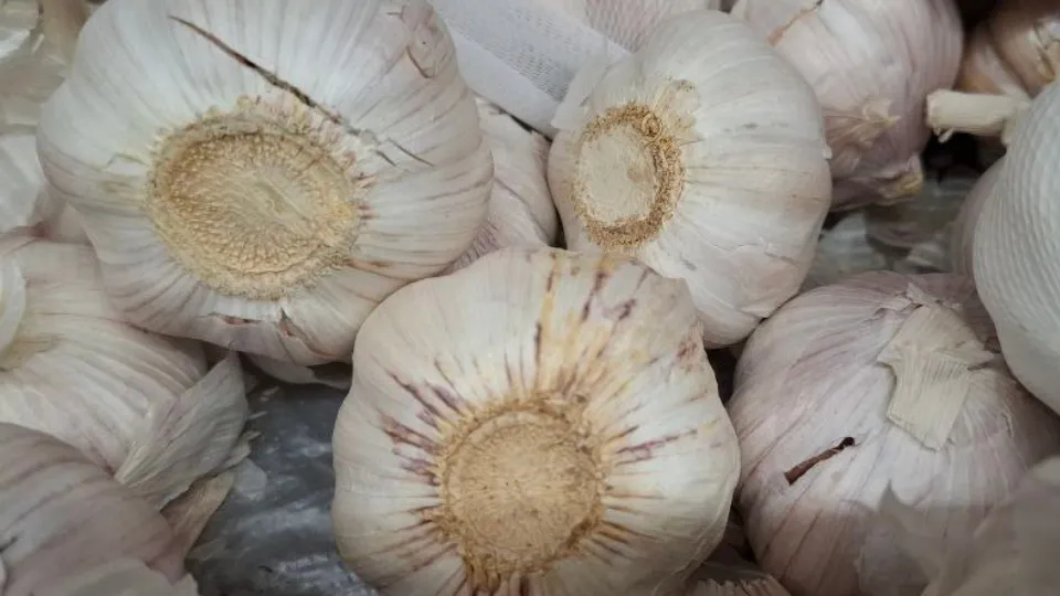 Фото: REGIONS/Юлия Габбасова