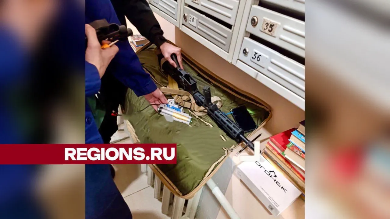 Фото: t.me/zaxbal