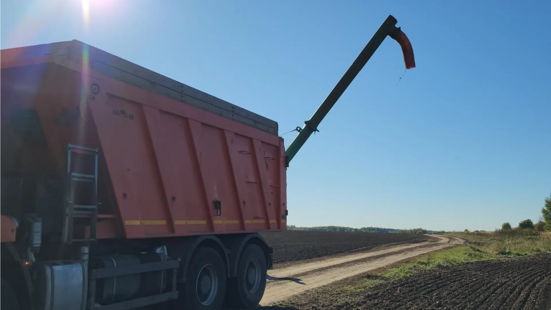 Фото: МедиаБанк Подмосковья/Юлия Скавронова