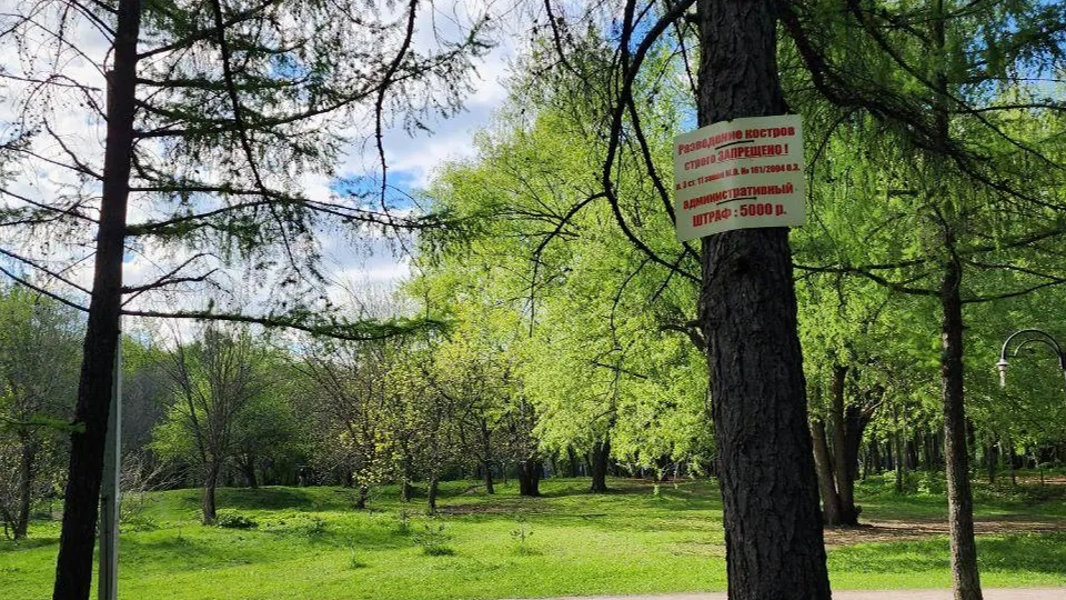 Фото: администрация городского округа Люберцы