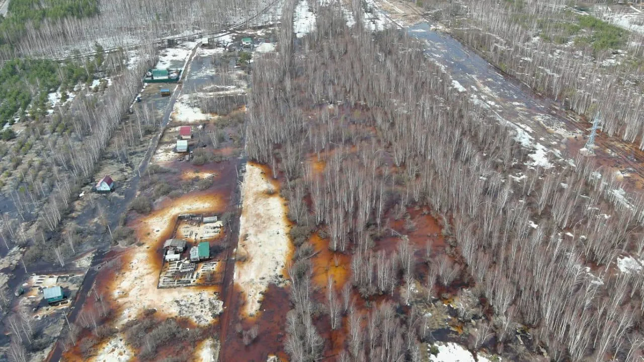 Фото: Андрей Почечуй