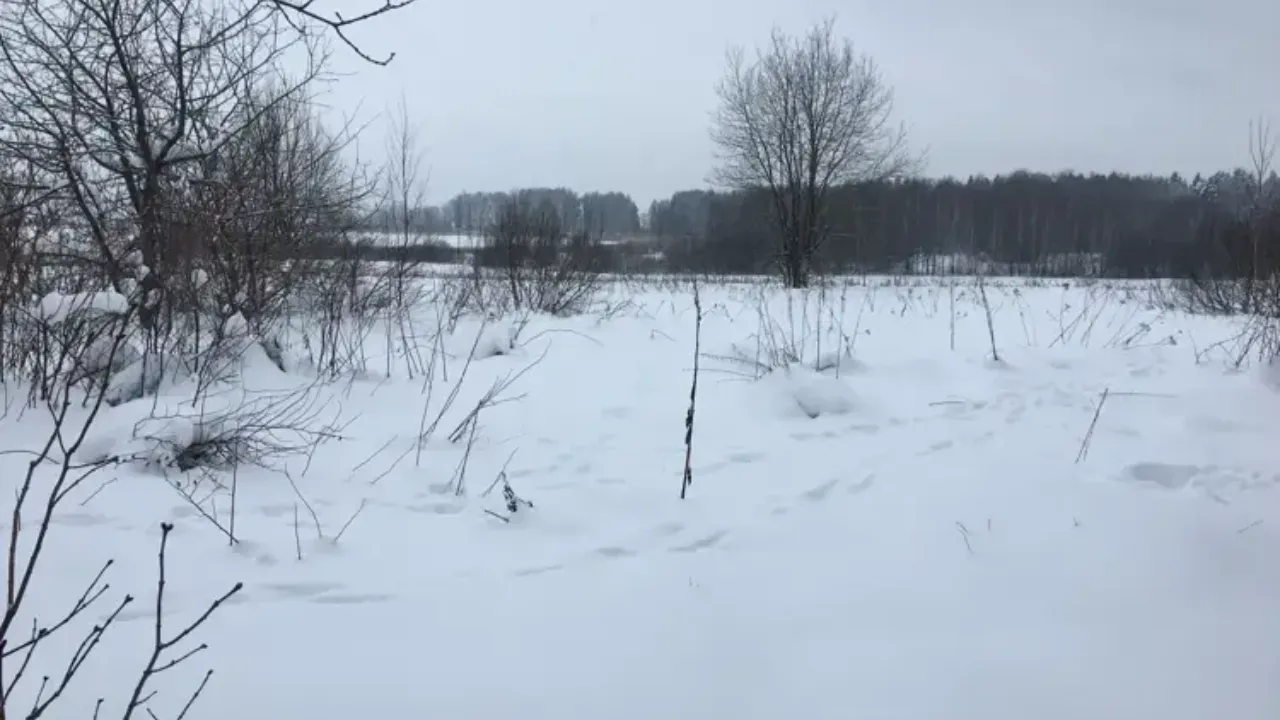 Единый портал торгов Московской области ЕАСУЗ