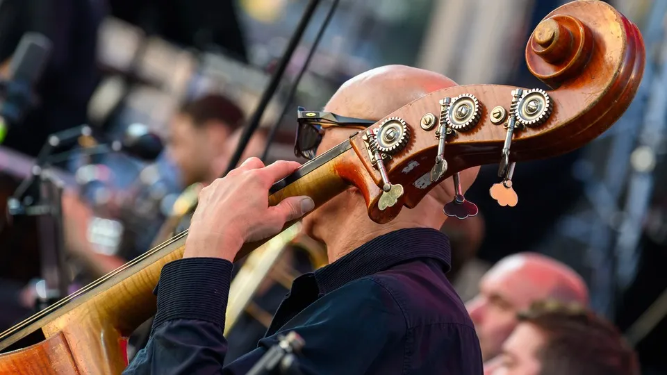 Фото: медиасток.рф