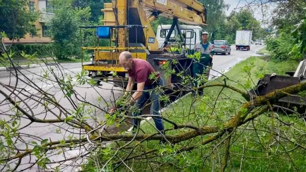 Фото: пресс-служба главы администрации г.о. Электросталь