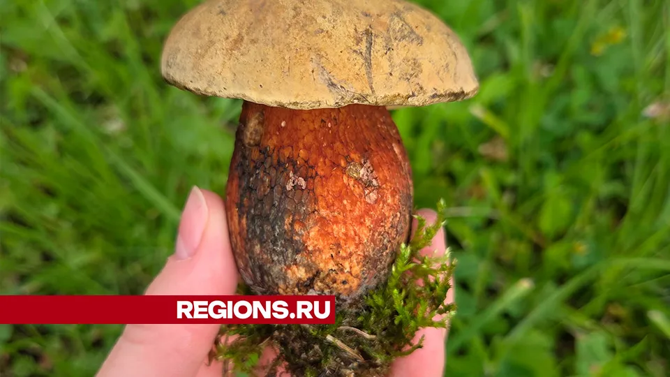 Фото: Емилия Деркач