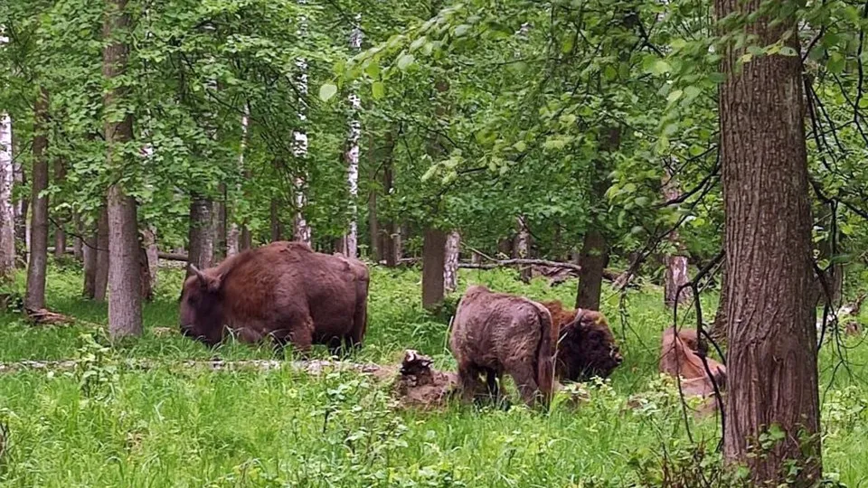 Фото: пресс-служба администрации Серпухова