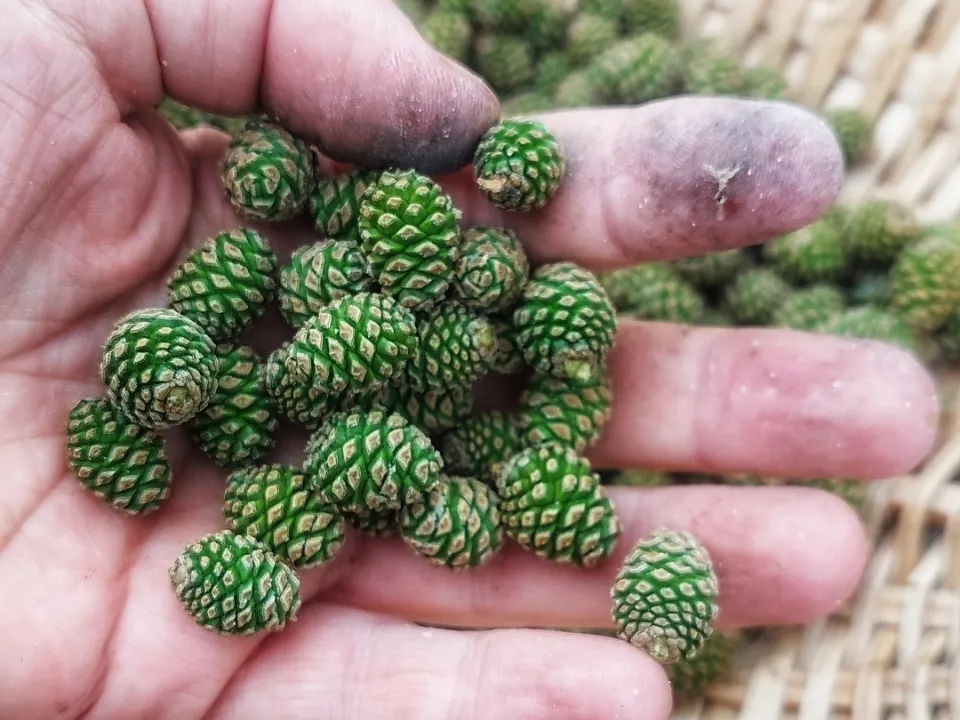 Фото: Василий Потапов