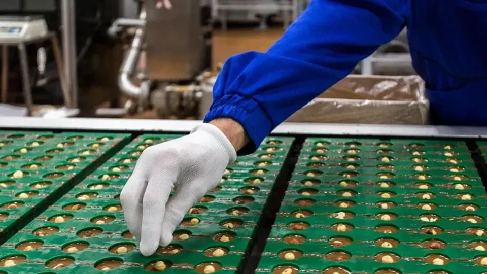 Фото: пресс-служба Министерства сельского хозяйства и продовольствия МО