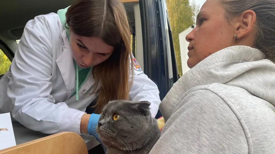 Фото: МедиаБанк Подмосковья/Рой Евгений Александрович