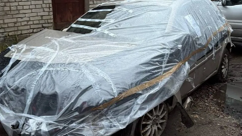 Фото: пресс-служба администрации г.о. Лосино-Петровский