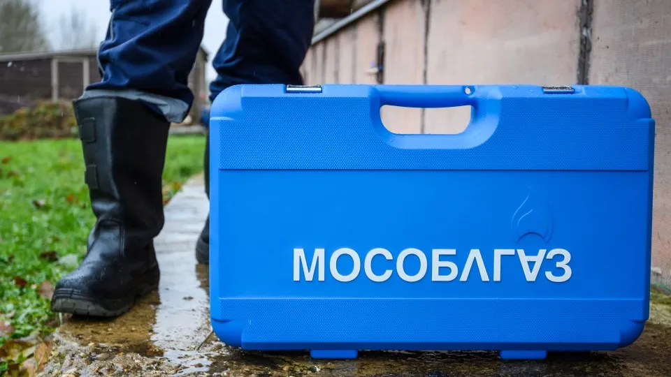 Фото: медиасток.рф