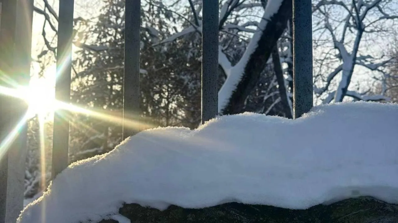 музей-заповедник «Горки Ленинские»