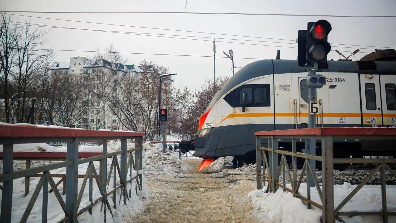 REGIONS/Сергей Шешин