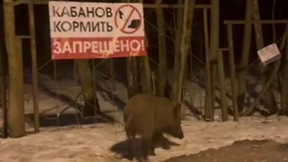 Фото: t.me/mspeaks