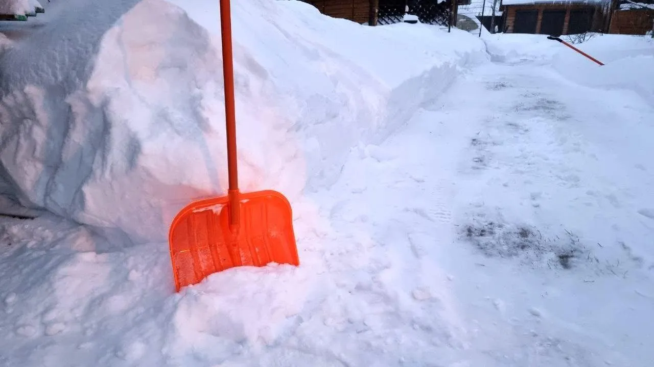 REGIONS/Юлия Алабина