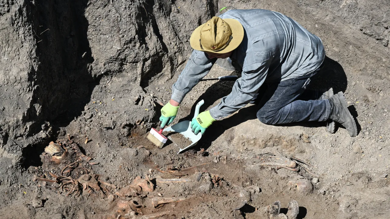 Фото: РИА Новости/Константин Михальчевский