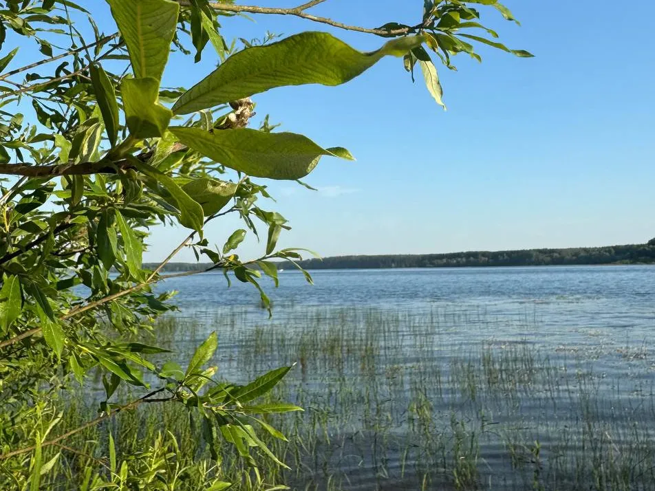 Фото: пресс-служба администрации Можайского м. о.