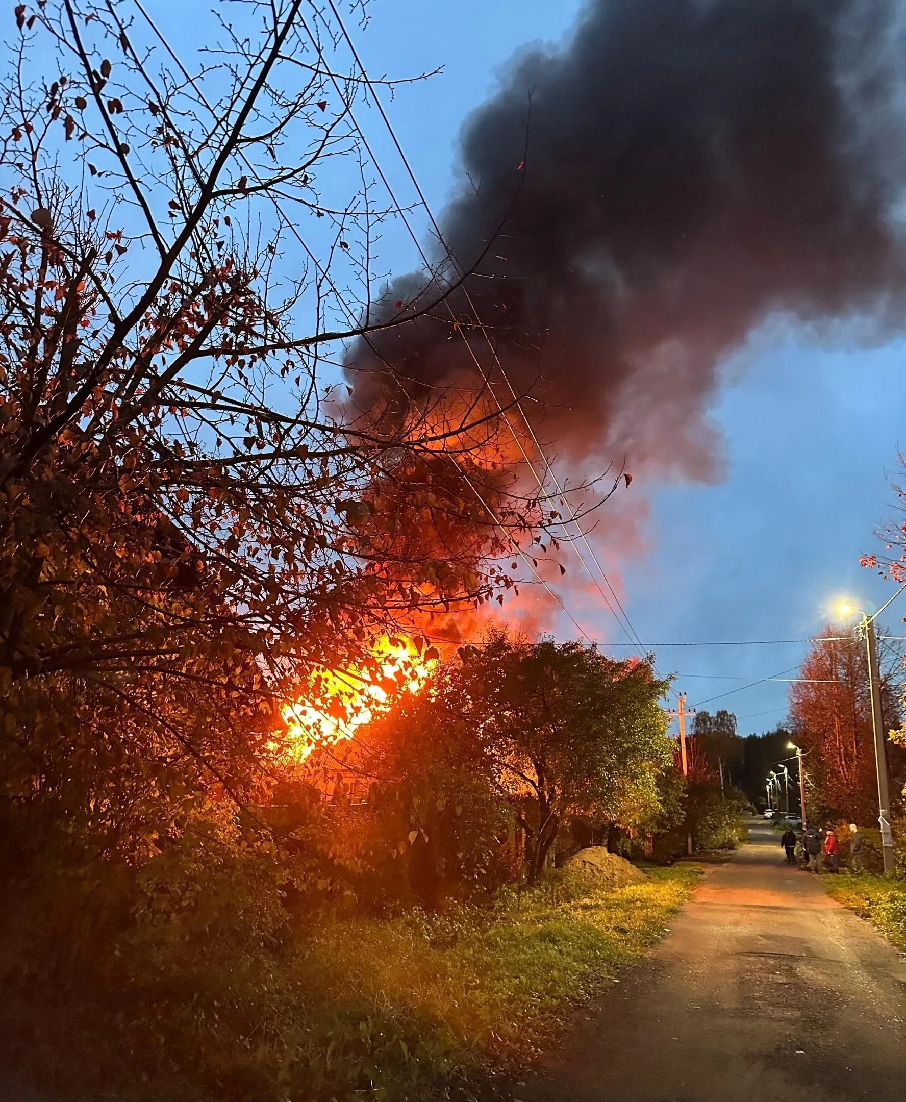 Фото: Родина - Снегири. Истринский городской округ / ВКонтакте