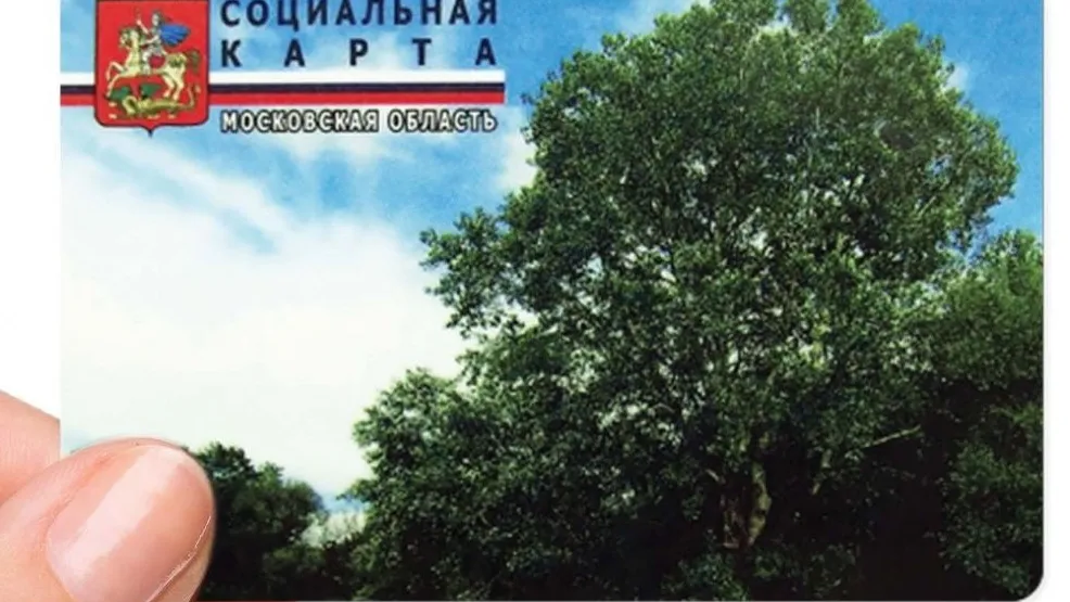 Фото: Министерство социального развития Московской области