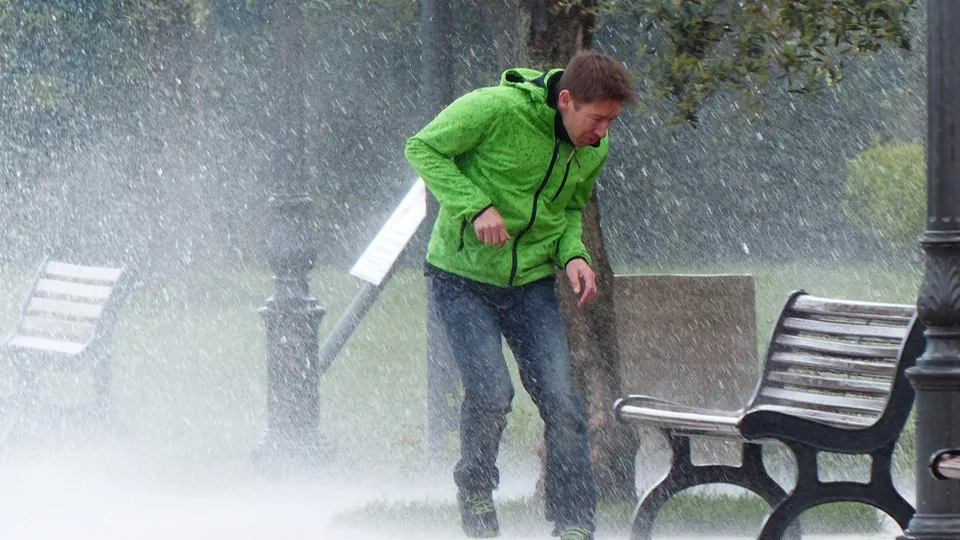 Фото: pxhere.com