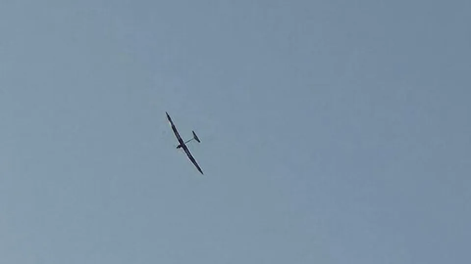 Фото: сommons.wikimedia/Avowedly