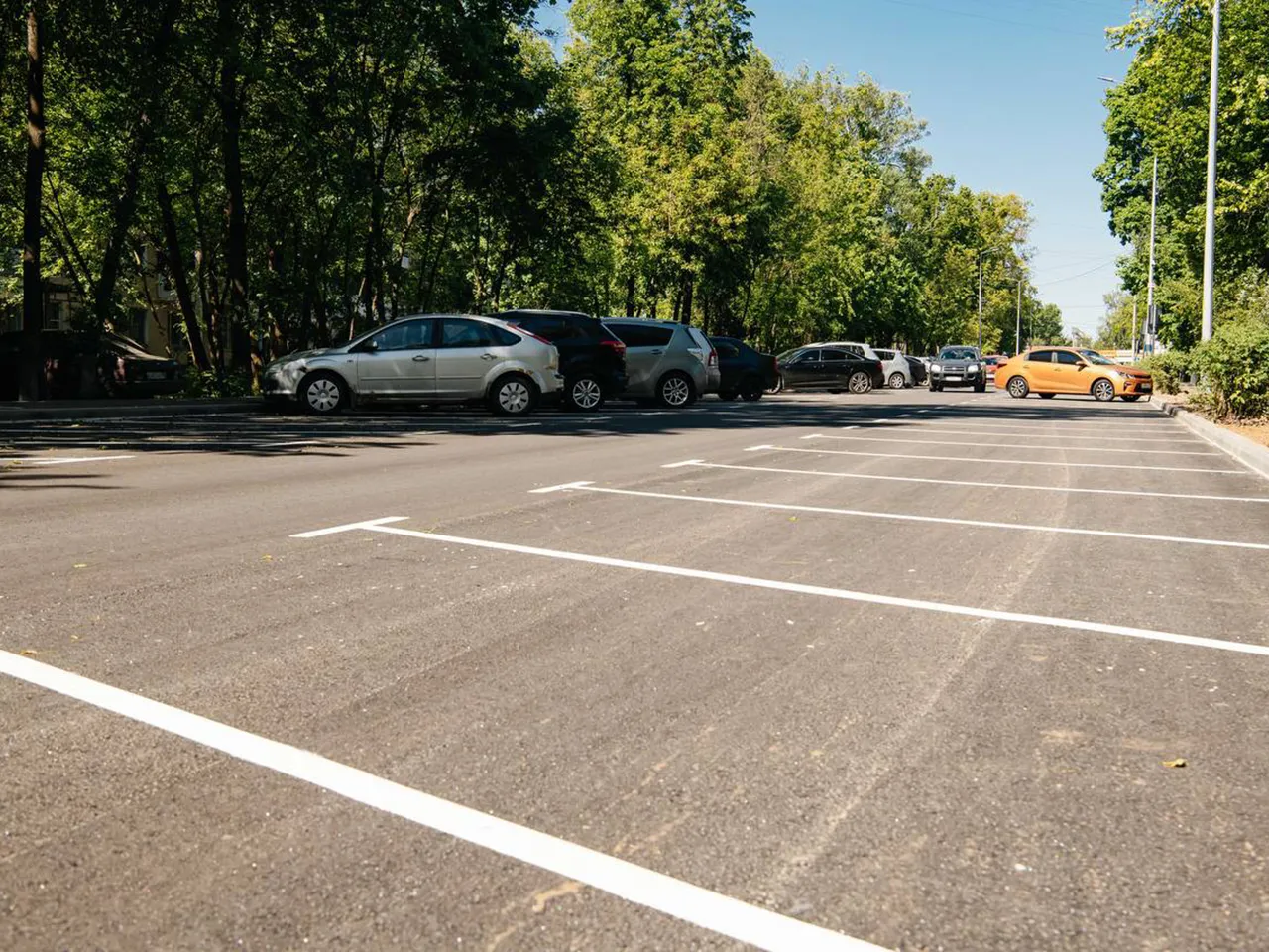 Фото: t.me/Krasnotsvetov_MV