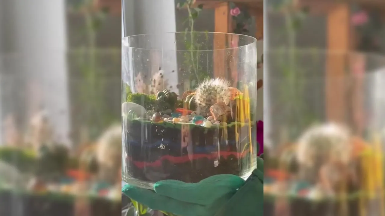 Щелковский колледж