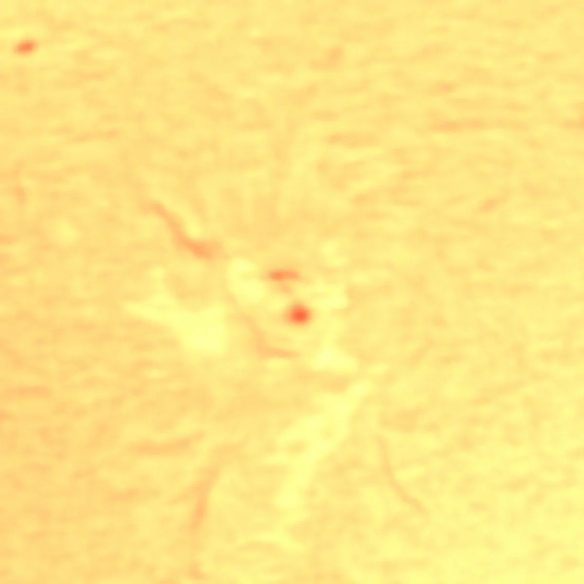 Фото: Черноголовская обсерватория