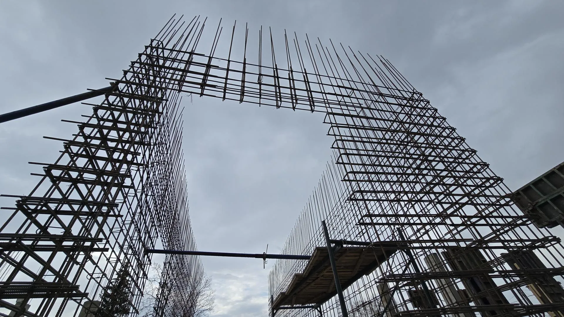 МедиаБанк Подмосковья/Марина Анисимова