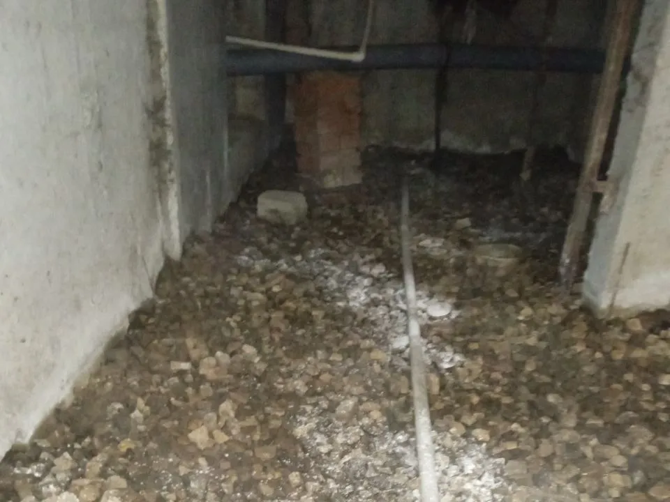 Фото: администрация Одинцовского округа