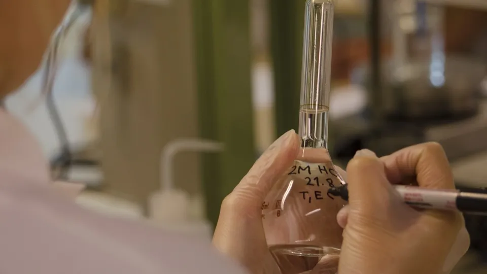 Фото: pxhere.com