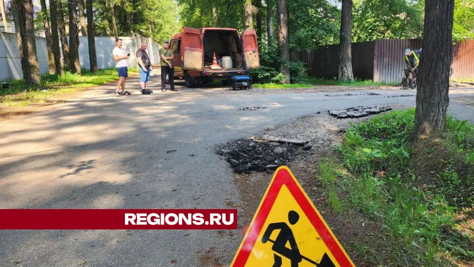 Фото: Елена Лабзина