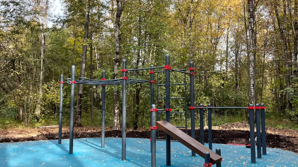 Фото: пресс-служба администрации г.о. Лобня