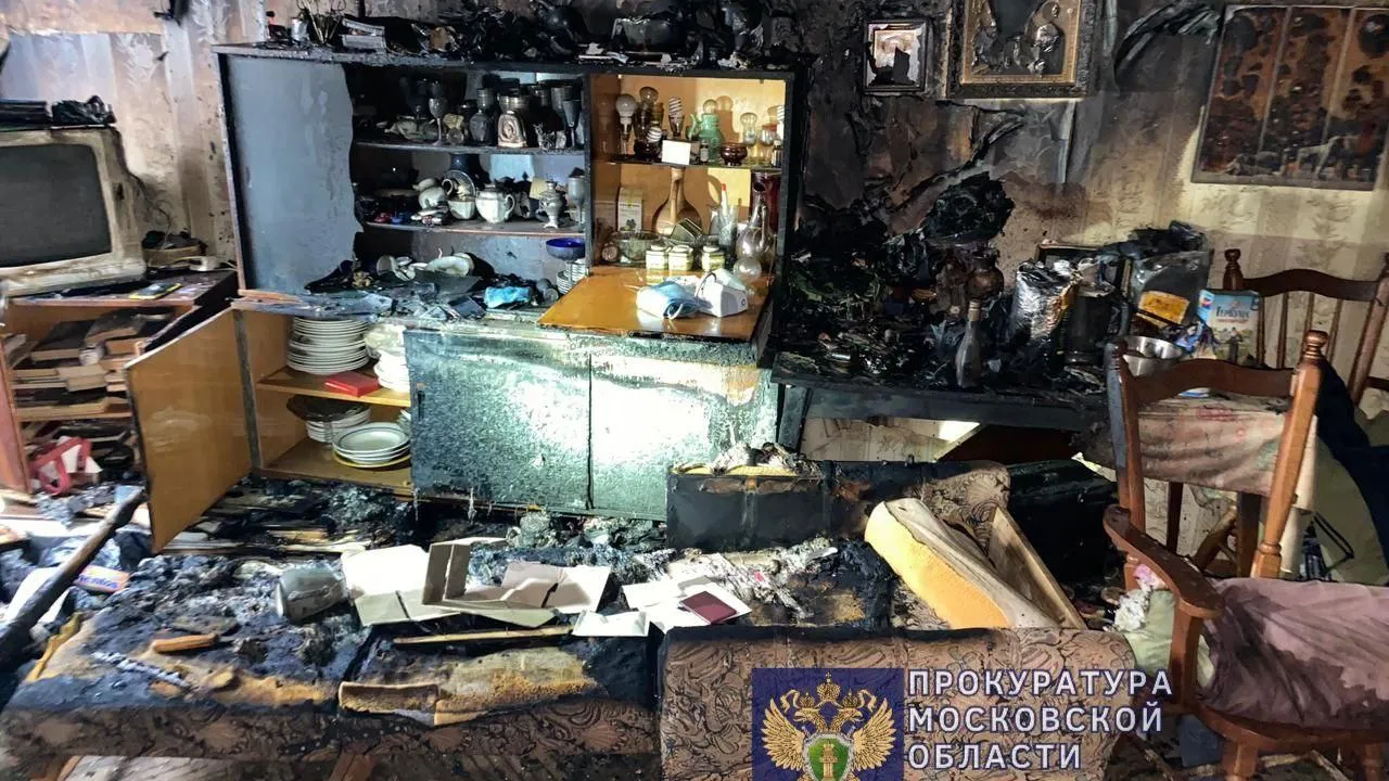 В Дмитрове взяли под стражу мужчину, обвиняемого в убийстве двух человек и поджоге