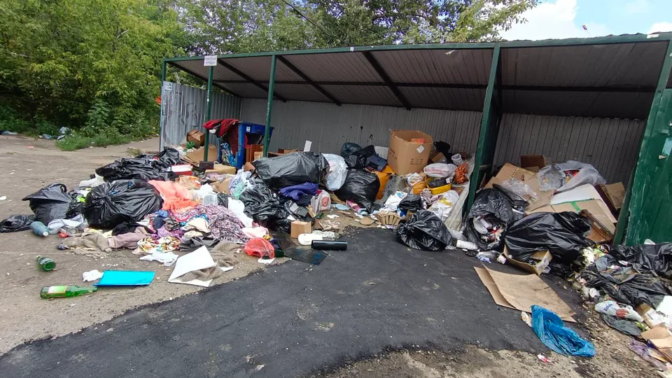 Фото: Алексей Грызлов