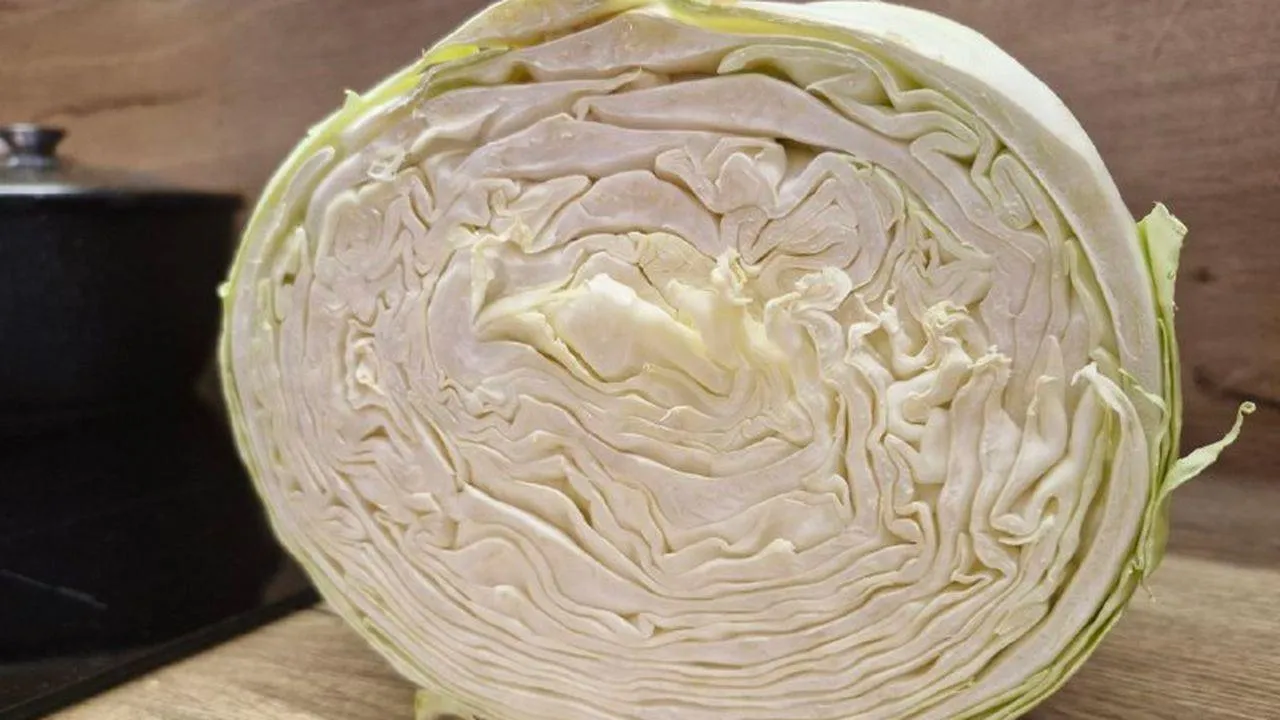 REGIONS/Наталья Надточая