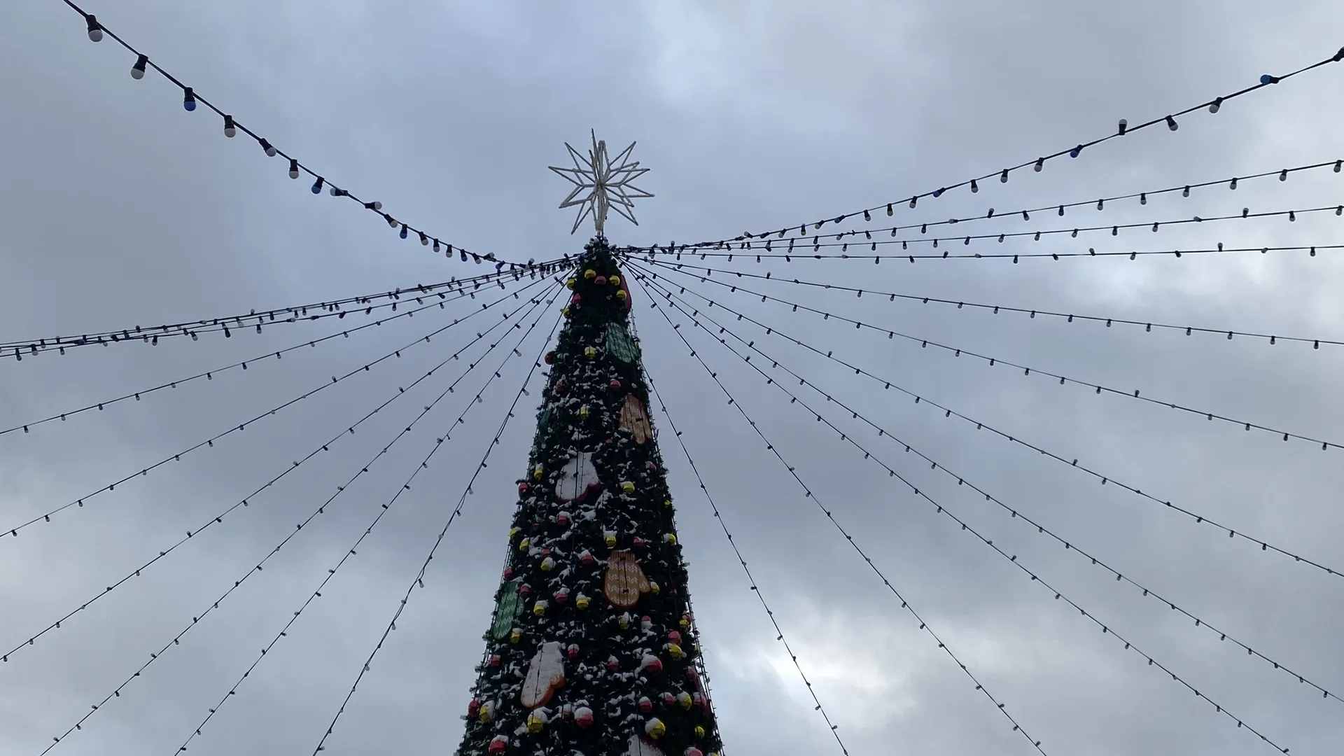 Фото: МедиаБанк Подмосковья/Екатерина Морозова