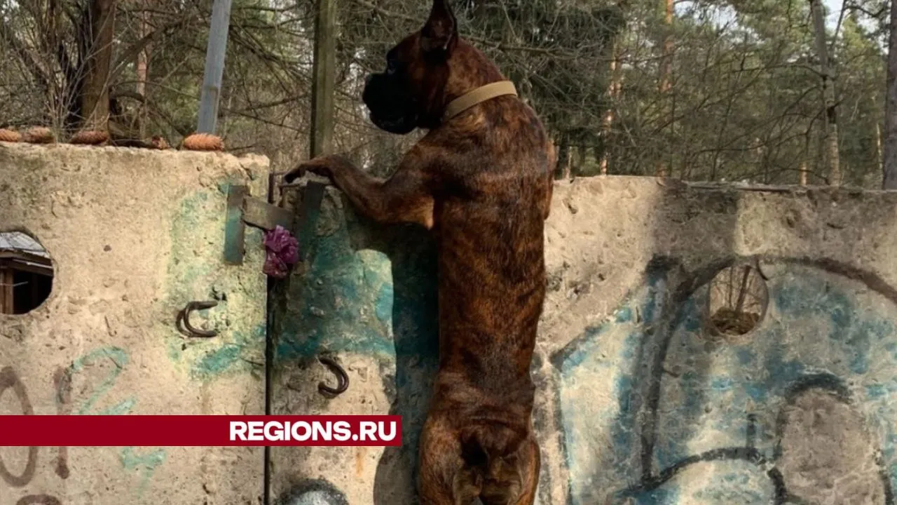 Фото: Наталья Лепешонкова