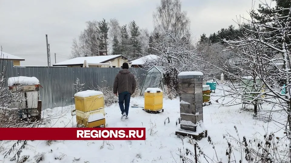 Фото: Юлия Воробьева