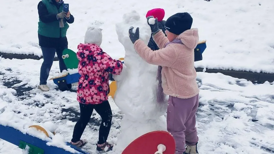 Фото: пресс-служба администрации Сергиево-Посадского городского округа