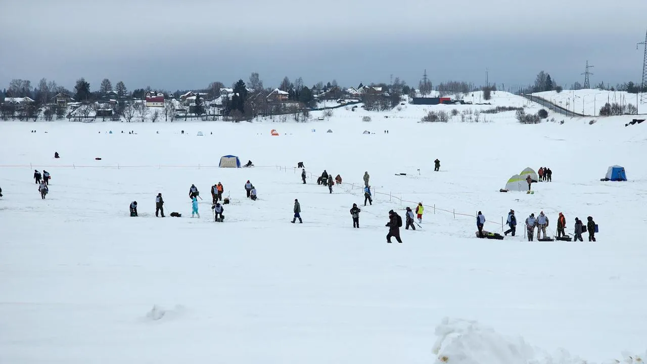 МедиаБанк Подмосковья/Екатерина Данилина