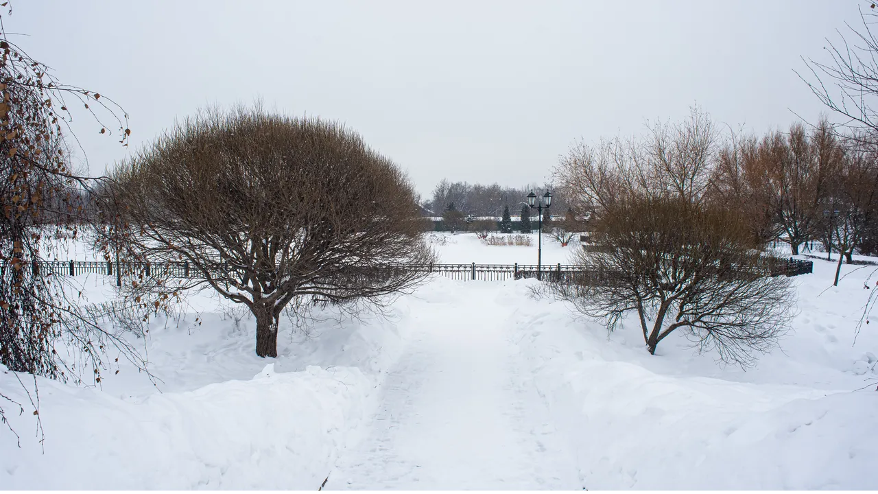 Медиаархив Подмосковья
